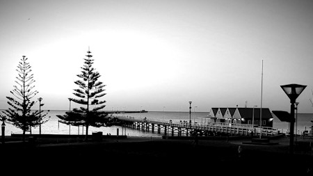 Boardwalk, Fir, Person, Pier, Plant, Port, Sailboat, Tree, Water, Waterfront